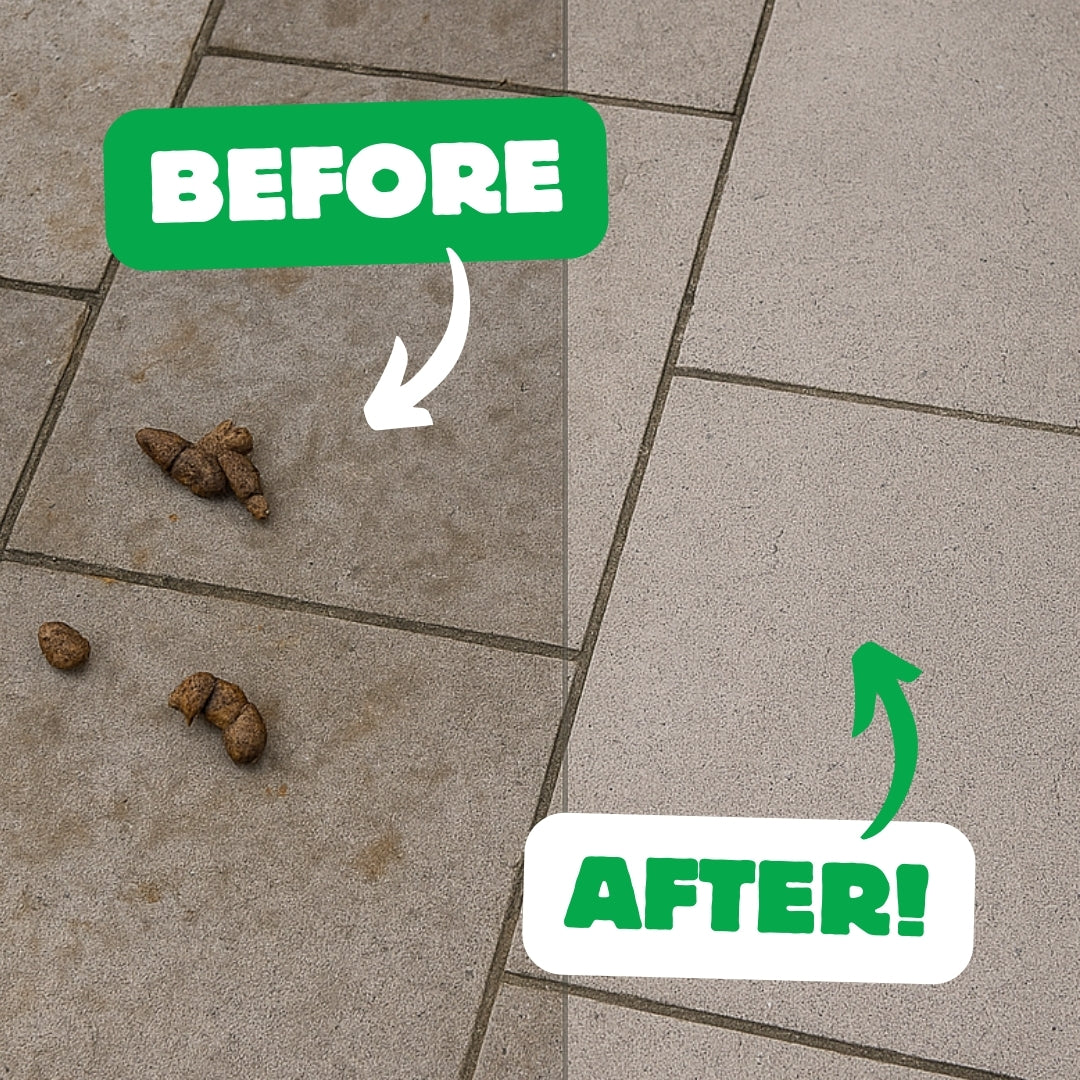 Monthly Dog Waste Removal Service Liverpool