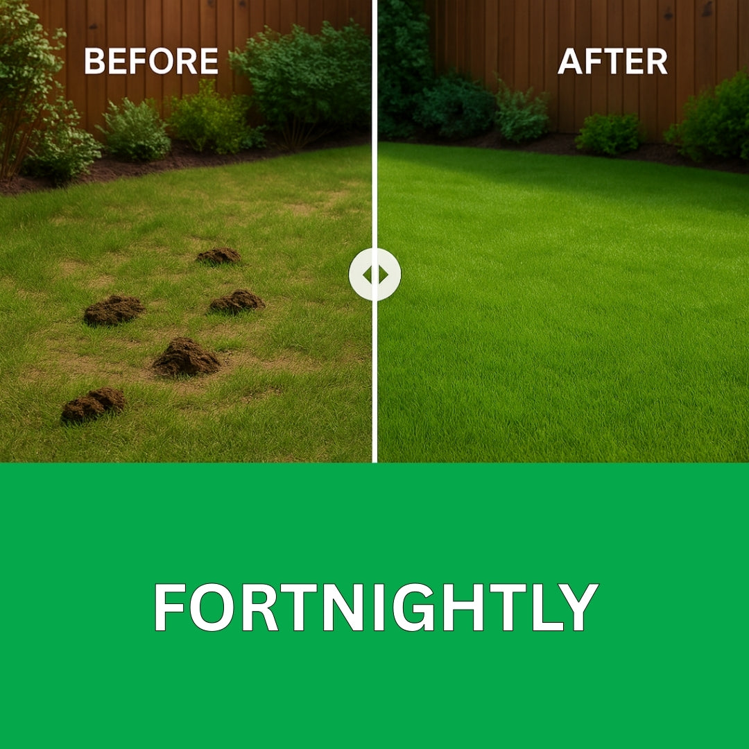 Fortnightly Dog Waste Removal Service Liverpool