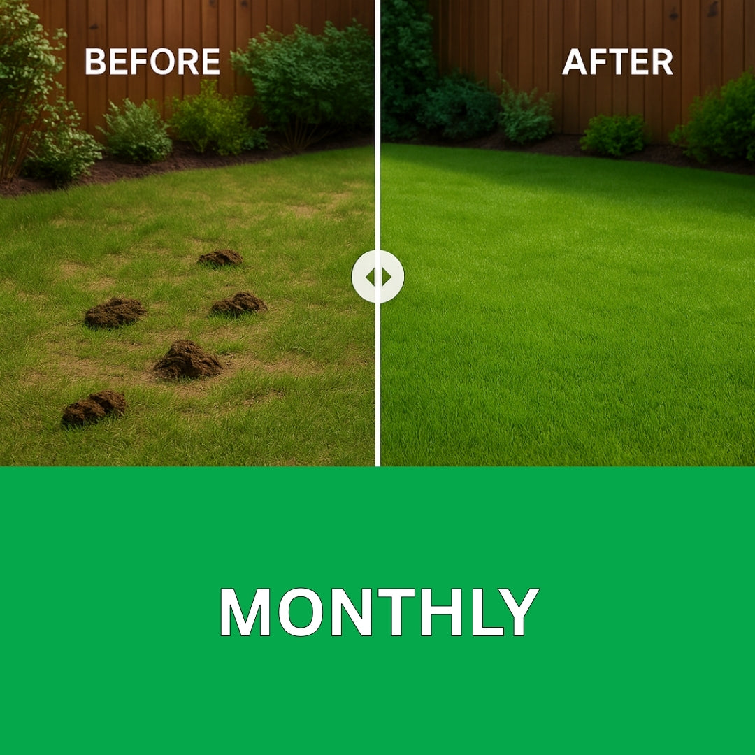 Monthly Dog Waste Removal Service Liverpool