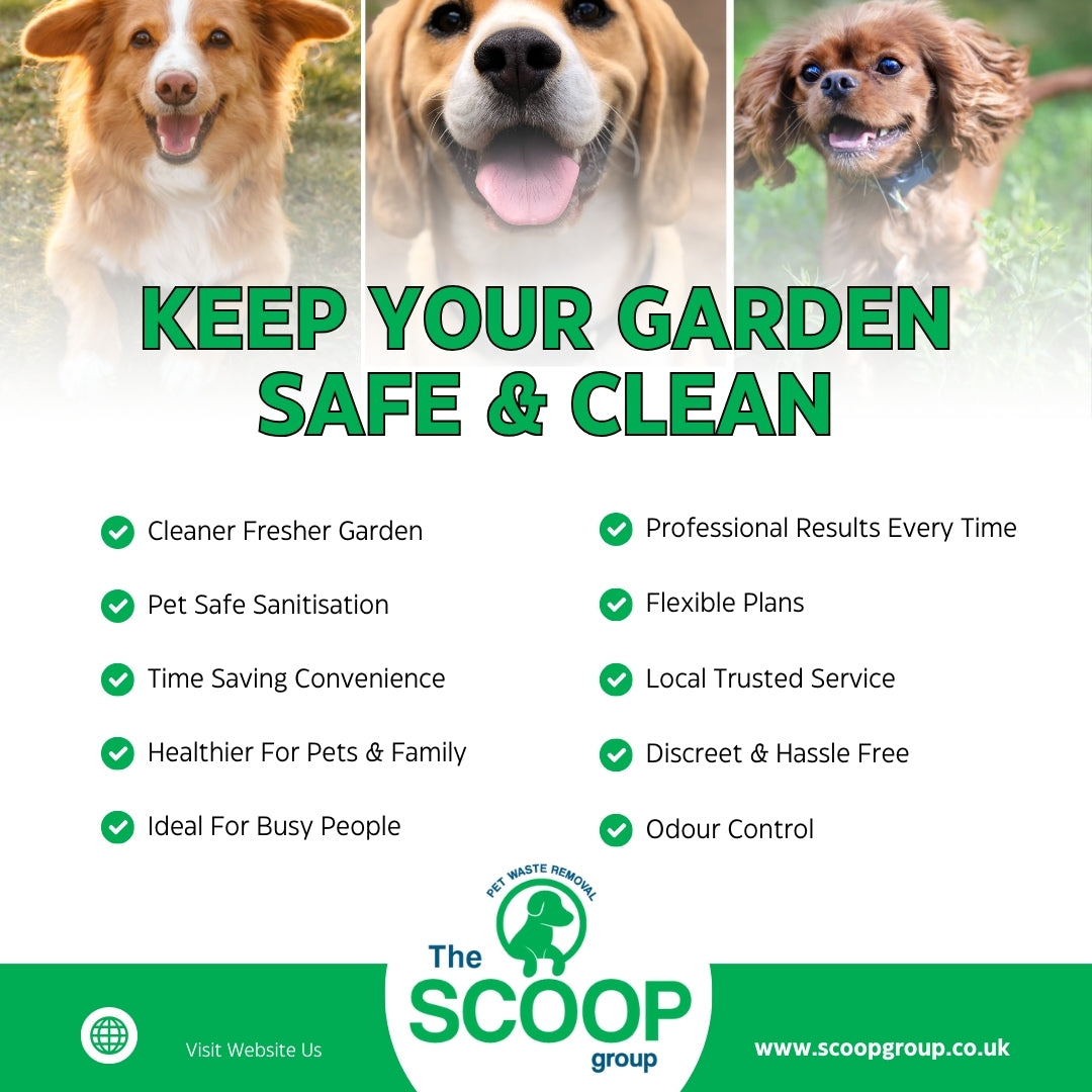 Monthly Dog Waste Removal Service Liverpool