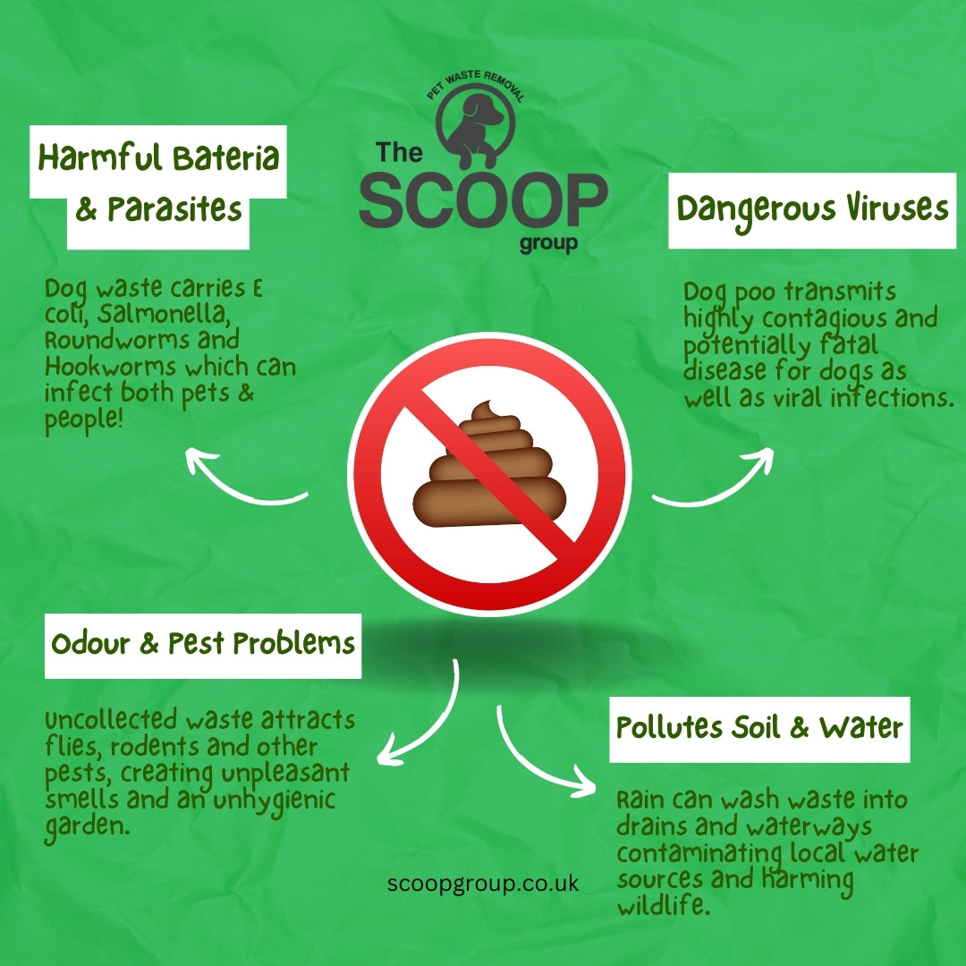 Monthly Dog Waste Removal Service Liverpool
