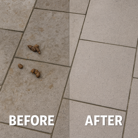 One-Off Dog Waste Removal & Garden Sanitizing Liverpool