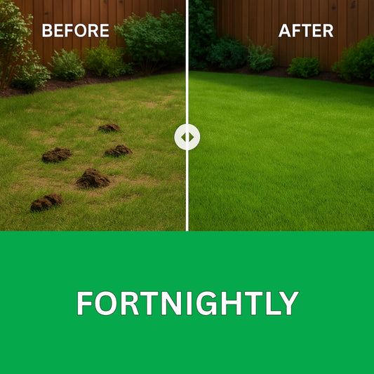 Fortnightly Dog Waste Removal Service Liverpool