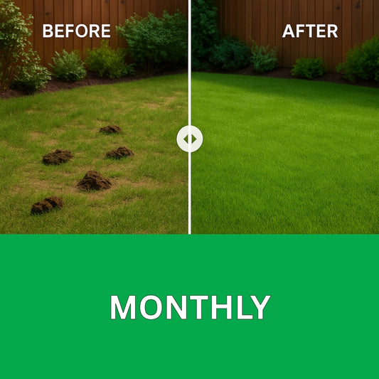 Monthly Dog Waste Removal Service Liverpool